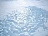 0490-Blue_ice_peeking_from_under_the_snow__detail_.JPG