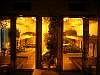 0590-Hydroponic_culture_at_the_Station.JPG