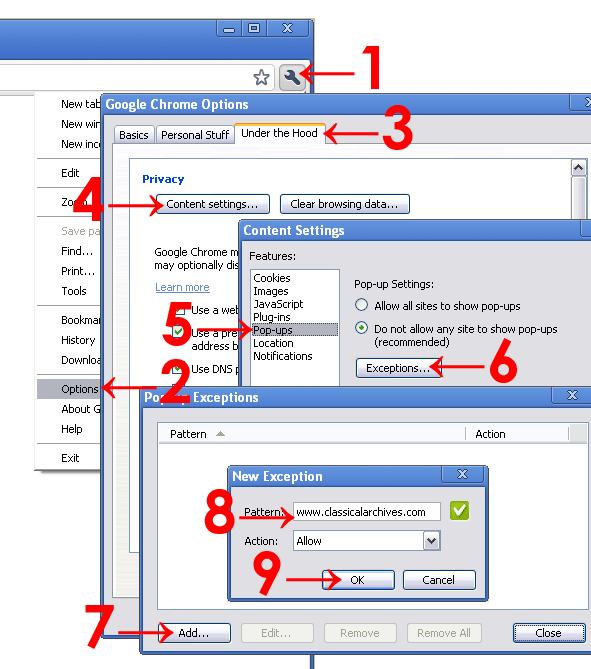 enabling popups in Google Chrome