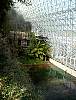02-Inside_Biosphere_2.jpg
